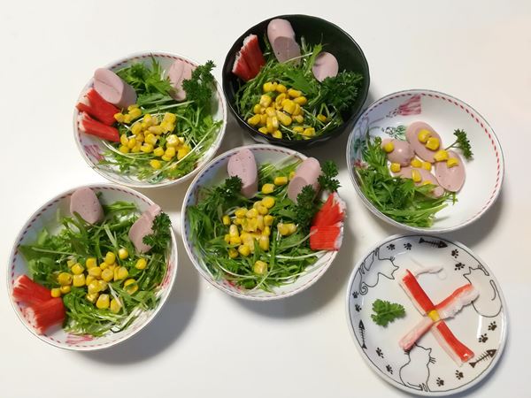 家庭菜園で採れた野菜を使ったサラダの写真